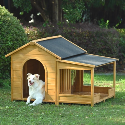 Pet Houses & Furniture